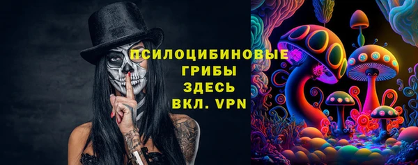 прущие грибы Пересвет